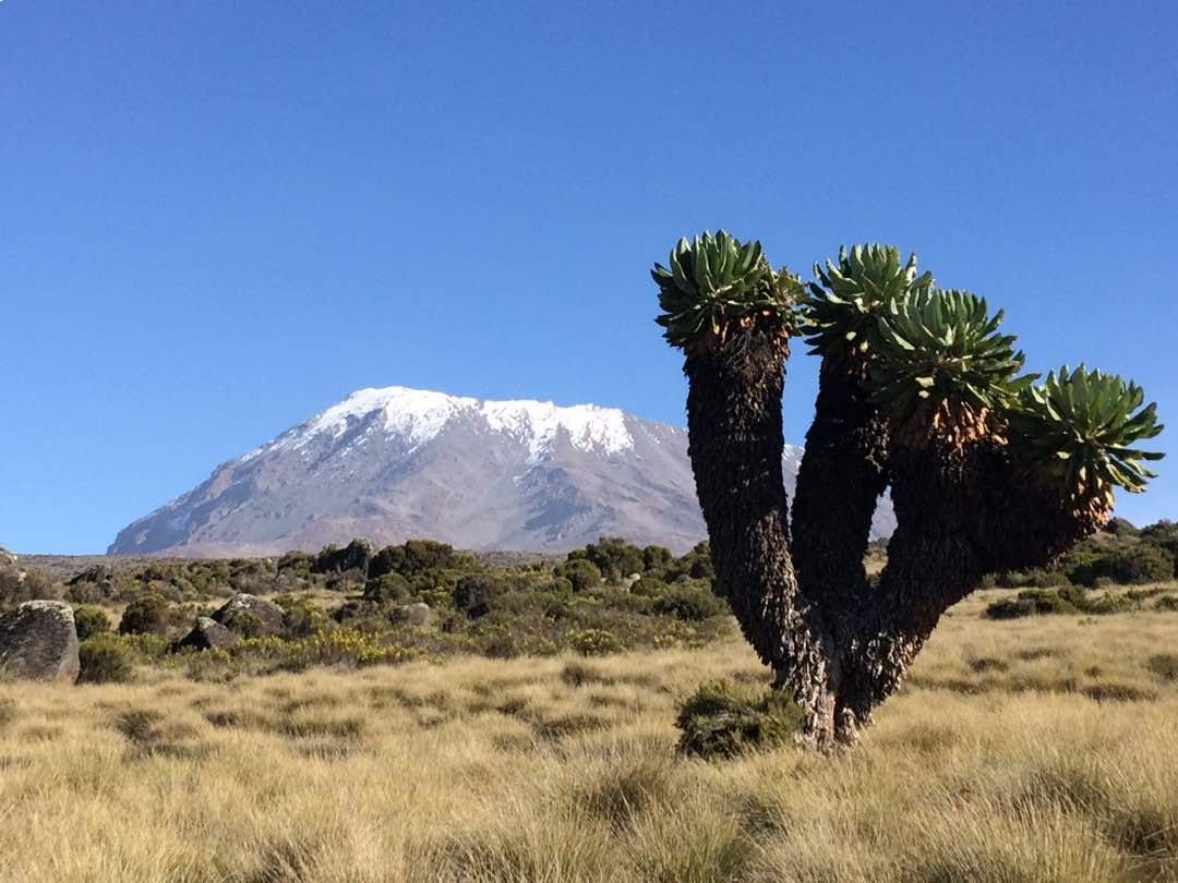 Marangu Route 5